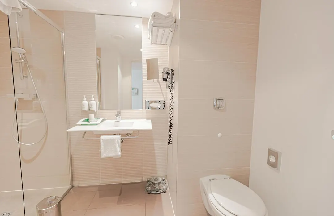 Holiday Inn Mulhouse By Ihg-1